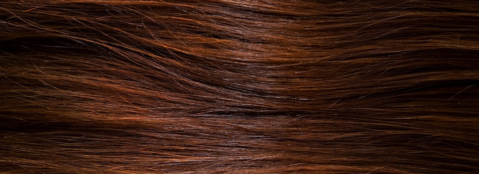 18-19世纪古董假发修复专家